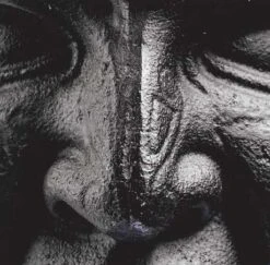 Onnit Quad Mace -Fitness Equip Store 07811dc6c422334ce36a09ff5cd6fe71 5d0a754ec2a17