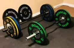 Rogue Curl Bar -Fitness Equip Store 2afe4567e1bf64d32a5527244d104cea 5d23aa73c5852 600x388 1