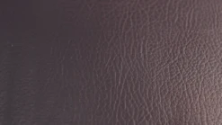 Rogue Adjustable Bench 2.0 -Fitness Equip Store 37a749d808e46495a8da1e5352d03cae 5e0e63bb082d9 600x337 1