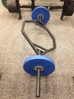 American Barbell Hex Bar -Fitness Equip Store 470e7a4f017a5476afb7eeb3f8b96f9b 5d0a74d6b03d3