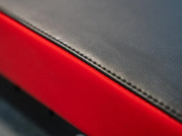 Sorinex P3 Poor Man Glute Ham Developer 9 Sorinex P3 Poor Man Glute Ham Developer - Image 9