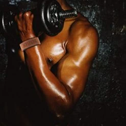 Deselen Lifting Straps -Fitness Equip Store 55a988dfb00a914717b3000a3374694c 5d0a757ab78a5