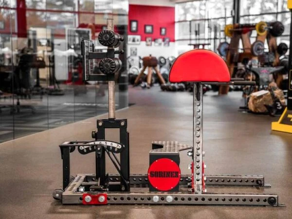 Sorinex Glute Ham Developer 1 Sorinex Glute Ham Developer