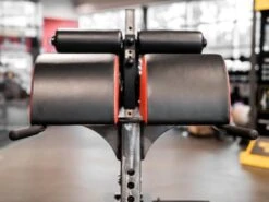 Sorinex Glute Ham Developer 19 Sorinex Glute Ham Developer -Fitness Equip Store 66e8ba8216a1e152d72653d99a4f03ab 5d0a756ae9231 600x450 1