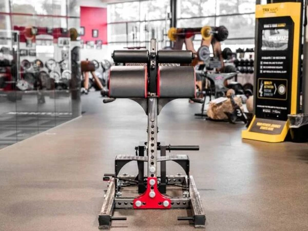 Sorinex Glute Ham Developer 8 Sorinex Glute Ham Developer - Image 8