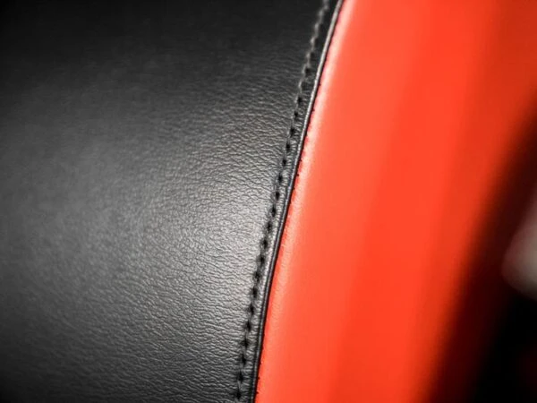 Sorinex Glute Ham Developer 9 Sorinex Glute Ham Developer - Image 9