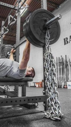 Proloc 2 Chain Collars -Fitness Equip Store c2626d850c80ea07e7511bbae4c76f4b 5d0a74e6052a0