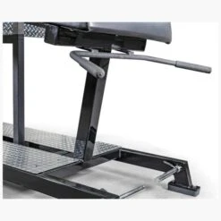 EliteFTS Pro Glute Ham Raise -Fitness Equip Store c2ba1bc54b239208cb37b901c0d3b363 5d0a757667cee 600x600 1