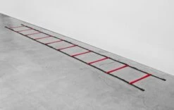 Powermax 15' Agility Ladder