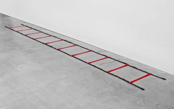 Powermax 15' Agility Ladder 1 Powermax 15' Agility Ladder
