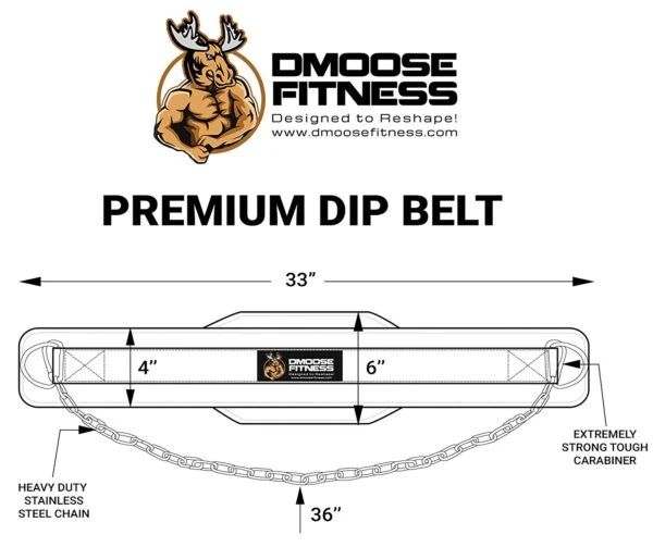 DMoose Premium Dip Belt 4 DMoose Premium Dip Belt - Image 4
