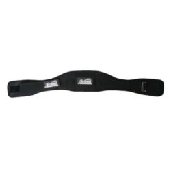 Schiek 2004 Lifting Belt -Fitness Equip Store fe8c15fed5f808006ce95eddb7366e35 5d0a74e70a42e 600x600 1